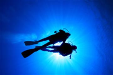 Diving – the Dangers and How You Could Help