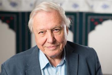 articles - boaty-mcboatface-polar-ship-named-after-attenborough