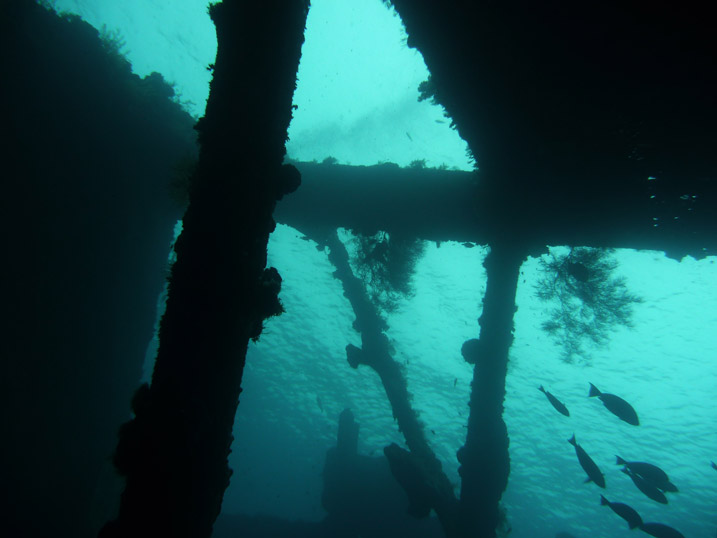 A collapsed cargo hold of USAT Liberty wreck