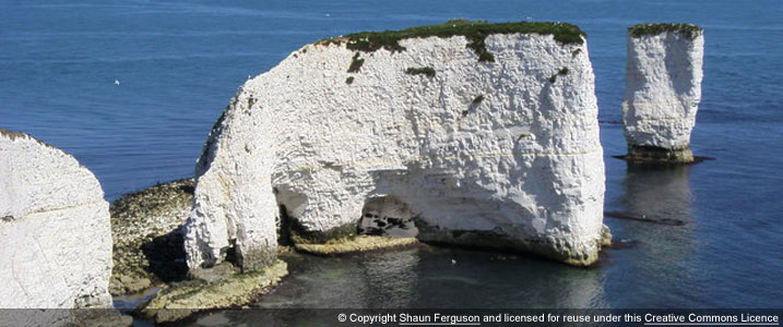 Old-Harry-Rocks-Dorset.jpg